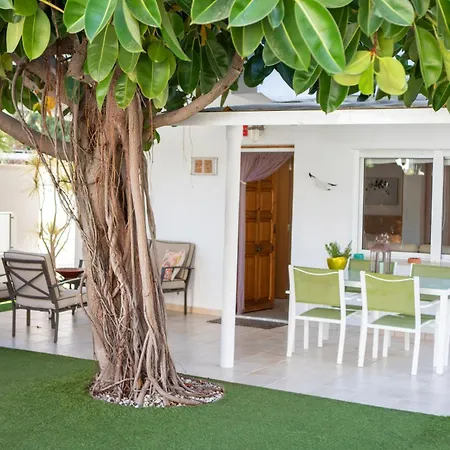 Apartamento Net Denia Planta Baja 50M De La Playa By Family Homes شقة دينايا